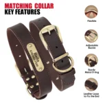 Real Leather Dog Collar Leash Set Personalized Pet Collar With Leash Free Engraving Nameplate For Small Medium Large Dogs - Image 3