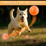 Pet toys Gravity Electric Amusement Pet Ball Smart Bouncing Ball For Dogs and Cats - Image 2