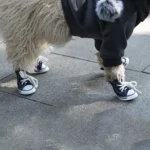 Creative 4PCS/Set Pet Shoes with Adjustable Drawstring Waterproof Puppy Pet Dogs Boots Canvas Breathable Pet Supplies Pets - Image 3