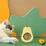 Natural Catnip Cat Wall Stick-on Ball Toy Scratchers Treats Healthy Natural Removes Balls to Promote Digestion Cat Grass Snack - Image 5