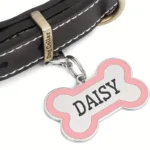 Personalized Pet Engraving ID Name Metal Tag Dog Anti-lost Custom Pet Bone Shape Accessories Phone Tag Pendant Puppy tag - Image 2
