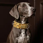 Anti-bite Spiked Dog Collars Adjustable Widen PU Leather Pet Necklace Heavy Duty Sharp Rivets Pet Collar Outdoor Dog Walking - Image 4