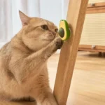 Natural Catnip Healthy Pet Cat Toy Wall Stick-on Ball Cats Teeth Cleaning Catnip Ball Toys Cat Snacks Kitten Cat Catnip Toy - Image 4