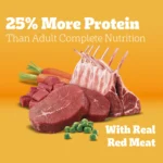 High Protein Dry Dog Food for Adults with Beef and Lamb Flavor in 18 Lb Bag - Image 4