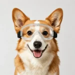 Pet Adjustable Dog Goggles Sunglasses Anti-UV Sun Glasses Eye Wear Protection Black Widely Used Dog Sunglasses Pet Dog Supplies - Image 5