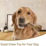 Natural Non-Toxic Indestructible Dog Bone Chew Toy Anti-Bite Puppy Teething Chew Toy for Small Medium Large Dogs Pet Chewbone - Image 6