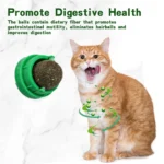 Natural Catnip Balls Lickable Cat Grass Snack Kitten Scratchers Toy Treats Chewing Fresh Breath For Small Medium Pet Cat - Image 2