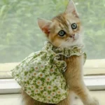 1 Pc Pet Dress Dog&Cat Summer Dress Yomantic Floral Pattern Suitable For Birthday Wedding Party Outfits - Image 5