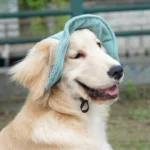 Fashionable Pet Dog Hat with Adjustable Sun Protection XS to XL Size for Small Medium Large Dogs Pet Outdoor Suppies Accessories - Image 4