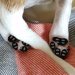 Anti-Slip Dog Paw Pads Detachable Pet Shoe Insoles Easy Foot Protectors Traction Control Stickers for Pets indoor outdoor - Image 2