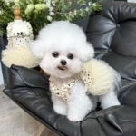 Cute Breathable Puppy Slip Dress Lace Hem Summer Pet Princess Dress Adorable Skin-friendly Dog Puffy Dress for Small Dog Cat - Image 4