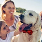 Adjustable Plaid Dog Bow Tie Cat Bowtie Soft Pet Neckwear for Small Medium Dogs Puppy Chihuahua Best Gift Idea - Image 3