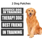 Custom Dog ID Tags For Harness Pet Name Anti-lost number Clothes Patches Dog Paw Print LOGO Personality Labels - Image 5