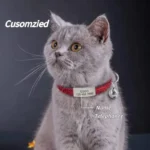 Glitter Cat Safety Buckle Collar Adjustable Custom Personalized ID Free Engraving Nylon Puppy Kittens Necklace - Image 2