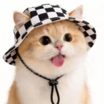 Cute Print Cat Hat for Small Medium Cats Adjustable Pet Cap Breathable Comfortable Sunscreen Hat Beach Activities - Image 2