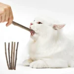 Kitten Supplies Natural Herbal Cat Chews Natural Grass Chew Sticks for Cats Chat Accessories Cat Oral Cleaning Stick Catnip Toys - Image 3