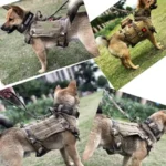 Tactical Dog Harness Leash Collar for Medium Large Dogs Military Pet Vest Adjustable Service Dog Harnesses For Training Walking - Image 3