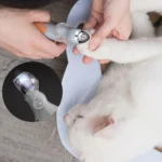 Professional Pet Nail Clipper Scissors With LED Light Cat Dog Nail Clipper Tool Scissors Nail Toeclaw Cutter Scissors Pet Supply - Image 5