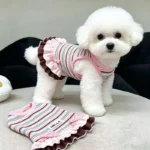 Lace Dog Dress Spring/Summer Thin Dog Clothes Rainbow Stripes Bichon Frise Strap Teddy Breathable Skirt - Image 3