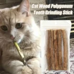 5-50pcs Catnip Stick Pet Cat Molar Toys Natural Wood Polygonum Sticks Cleaning Teeth Relieve Boredom Snacks Chews Toys - Image 3