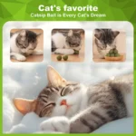Catnip Balls Kitten Cat Nip Ball Licker Toy Natural Catnip Ball for Cats of All Breeds,Cat Lick Ball Toys That Fascinate Cats - Image 5