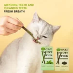 6 Sticks/box Cat Mint Stick Gall Fruit Molar Stick For Cat Teeth Cleaning Treating Pet Supply Cat Toys New 2024 T9W2