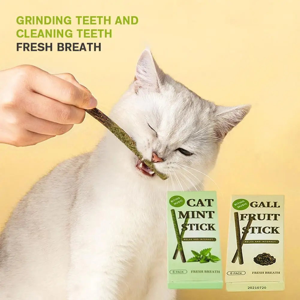 kf-S2c0f876877c148e989a74be738e68c4ba 6 Sticks/box Cat Mint Stick Gall Fruit Molar Stick For Cat Teeth Cleaning Treating Pet Supply Cat Toys New 2024 T9W2 - Image 1