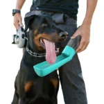 550ML Dog Water Bottle Portable Foldable Dogs Water Dispenser for Outdoor Walking Hiking Leak Proof Puppy Water Cup Pet Supplies - Image 5