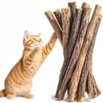 Kitten Supplies Natural Herbal Cat Chews Natural Grass Chew Sticks for Cats Chat Accessories Cat Oral Cleaning Stick Catnip Toys