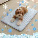 Summer Ice Silk Thick Breathable Dog Bed Cooling sponge Mat cat bed Non Slip Washable Pet Pad for Medium Large Cats Dogs - Image 2