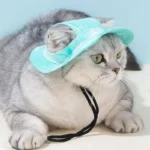 Pet Hat with Ear Holes Sunscreen Baseball Cap for Large Medium Small Dogs Cap Sun Hat for Cat Outdoor Hiking Hat Pet Products - Image 4