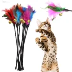 5pcs/set Cat Interactive Wand Colorful Feather Chicken Feather Cat Stick Bell Portable Creative Fashion Novelty Pet Cat Supplies - Image 2