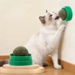 Catnip Cat Wall Stick-on Ball Toy Healthy Natural Removes Balls to Promote Digestion Cat Grass Snack Pet Catnip Ball - Image 2