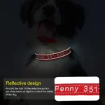 Embroidered Nylon Dog Collar Personalized Puppy Cat Collars Reflective Pet ID Collars DIY Phone Name ID For Small Large Dog Cat - Image 3