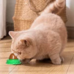 5/10Pcs Catnip Wall Ball Healthy Nutrition Cat Nip Treats Cat Sugar Ball Cat Snacks Candy Ball Pet Supplies - Image 6