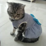 Summer Pet Cat Puppy Princess Dress Pet Clothes Striped Plaid Dresses with Bow Cats Kitten Rabbit Sphynx Clothing Pet Supplies - Image 9