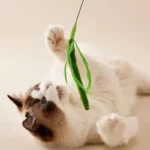 Kimpets Cat Dog Tail Grass Dog Sage Feather Long Pole Cat Teasing Stick Bite Resistant Self Soothing Tool Cat Toy Pet Supplies - Image 9