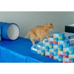 Hearty Cuts with Real Chicken and Fish in Gravy Wet Cat Food, 5.5 oz. Cans, 24 Count - Image 5