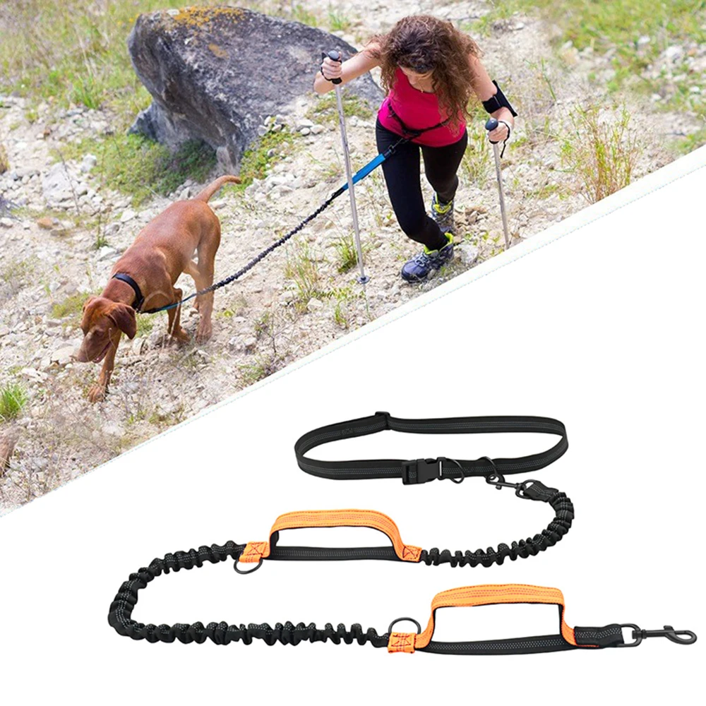 kf-S2f2f72d43daa49fdb0cb4ae37612d871M Double elastic reflective running leash portable retractable dog leash dog chain leash pet supplies wholesale - Image 1