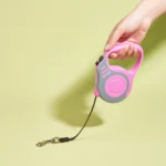 3m 5m Dog Leash For Small Medium Dogs Automatic Retractable Nylon Rope Cat Lead Extension Puppy Walking Running Pets Supplies - Image 4