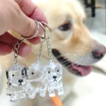 Transparent Dog Hair Storage Container Adorable Pet Keepsake Capsule Pendant With Key Ring for Pet Lovers DIY Memorial Keychain - Image 4