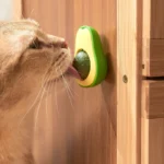 Natural Catnip Cat Wall Stick-on Ball Toy Scratchers Treats Healthy Natural Removes Balls to Promote Digestion Cat Grass Snack - Image 2