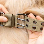 Adjustable Military Dog Collar Metal D-Ring and Buckle Working Dog Collar, Five-Level Adjustment for Medium and Large Dogs - Image 3