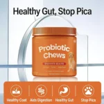 Dog Probiotic Chews Digestive Health Support Chicken Flavor 120 Count Soft Chews Gut & Immune Support Supplement for Dogs