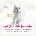 Grain Free Wet Cat Food Pate Variety Pack Chicken Feast Classic Pate Collection Canned Cat Food Multipack 3 oz Cans Tasty Paté for Cats - Image 3