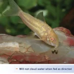 Pellets Sinking Food for Tropical, Gold, Loaches, Cat and Other Bottom Feeding - Image 2
