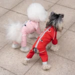 DOGWaterproof Dog Onesie with Zipper 4 Legs Pet Clothes for Spring Summer Y Pet Outfit