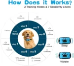 Pet Dog Anti Barking Device USB Rechargeable Dogs Training Collar Ultrasonic Stop Barking Vibration Anti Bark Collar - Image 3