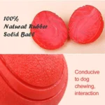 Pet Solid Elastic Toy Ball Cat/Dog Toy Ball 5/6/7CM Rubber Bite Resistant Dog Outdoor Training Tool Pet Teeth Cleaning Supplies - Image 2
