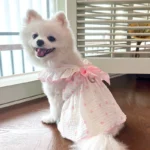 Thin Dog Cooling Dress, Puppy Summer Clothes, Bow, Heart Print, Pet Skirt, Kitten Dog Costume, Chihuahua, Bichon, Yorkie, Girls - Image 4